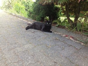 Foto 3 (1).JPG Foto 3 (1).JPG