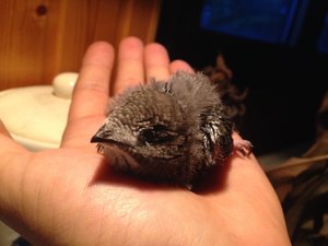 2014-07-07 21.47.33.jpg