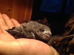 2014-07-07 21.47.40.jpg