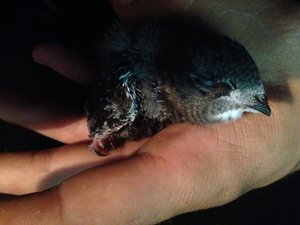 2014-07-07 21.48.41.jpg