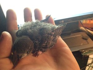 2014-07-07 21.49.03.jpg