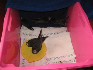 IMG_1792 (2klein).jpg