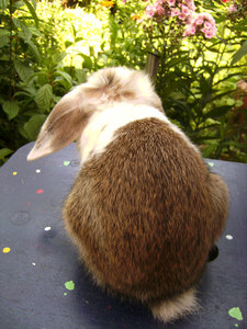 PICT3130.JPG PICT3130.JPG