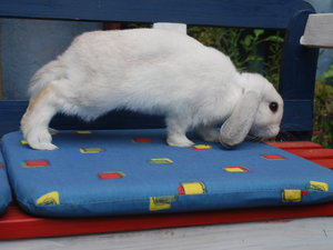 DSC_1449.JPG DSC_1449.JPG