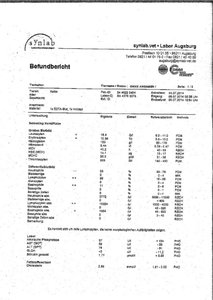 Blutergebnisse Mausi Seite 1-1-1.jpg