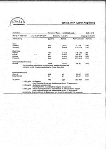 Blutergebnisse Mausi Seite 2-2-2.jpg