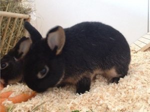 Unbenannt.jpg Unbenannt.jpg