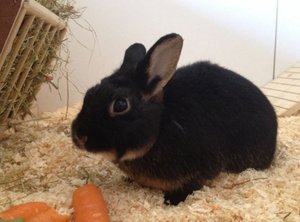 Unbenannt_2.jpg Unbenannt_2.jpg