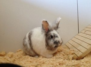 Unbenannt_3.jpg Unbenannt_3.jpg