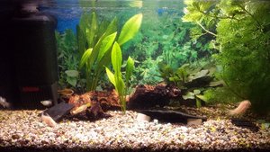 ov_aquarium groß.jpg