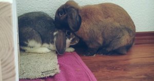 PicsArt_1404240907923.jpg PicsArt_1404240907923.jpg