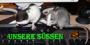 unsere suessen.jpg
