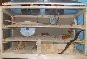 kÃ¤fig eingerichtet2.jpg