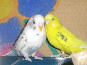 konfirmation urlaub08 wellis lissy praktikum karlsruhe 009.jpg