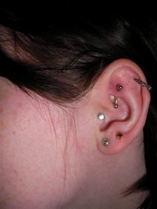 SANY0036 (Small).JPG