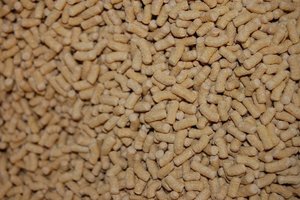 Goldfischfutter 003.jpg