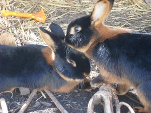 PauliOscarMe 015.jpg