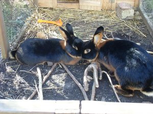 PauliOscarMe 014.jpg