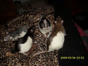 Vincent, Jacky, Lilly&Lucy (3).jpg