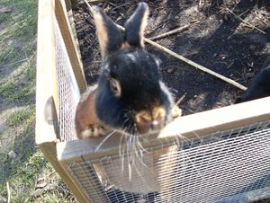 PauliOscarMe 016.jpg