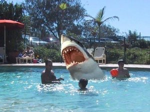 Schwimmbad mit Hai klein .jpg