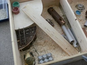 mein kÃ¤fig 001.jpg