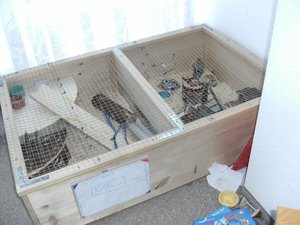 mein hamsterkÃ¤fig 001.jpg