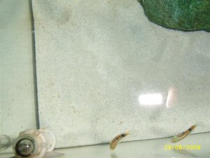 STP80653 (Small).JPG