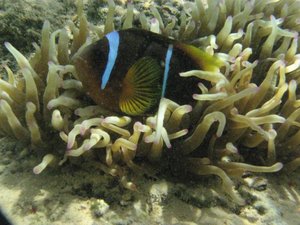 IMG_7255.jpg IMG_7255.jpg