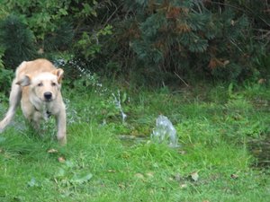 IMG_8283.jpg IMG_8283.jpg