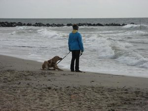 IMG_8216.jpg IMG_8216.jpg