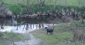 milly dummy water.jpg milly dummy water.jpg