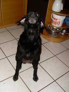 SL370291.jpg SL370291.jpg