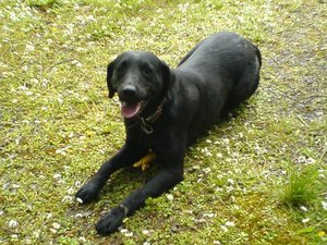 DSC00073.jpg DSC00073.jpg