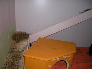 SANY0205 (Small).JPG