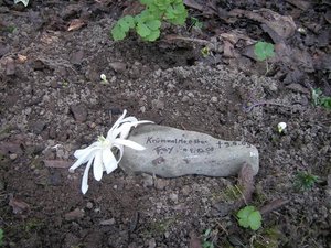 SANY0165 (Small).JPG