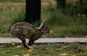 img54182lg9emf1h85.jpg img54182lg9emf1h85.jpg