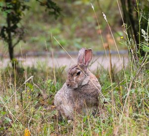 img54502e8wc2gjz5f.jpg img54502e8wc2gjz5f.jpg