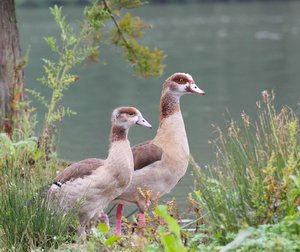 img597625e6pzd84u7.jpg img597625e6pzd84u7.jpg