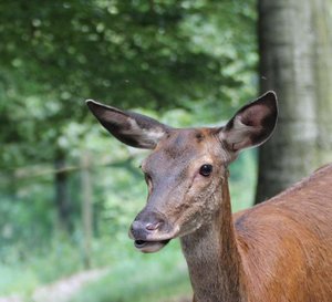 img68362hyj1l607g8.jpg img68362hyj1l607g8.jpg