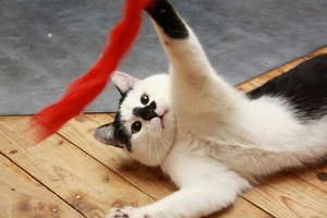 IMG-20140401-WA0051 (2).jpg IMG-20140401-WA0051 (2).jpg