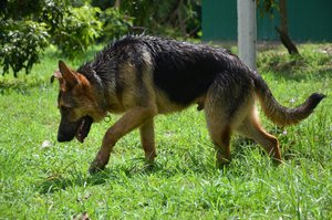 mike 5 14 kl1.jpg mike 5 14 kl1.jpg