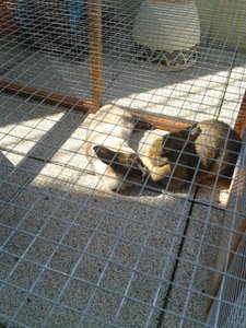 Maschenweite (480x640).jpg Maschenweite (480x640).jpg