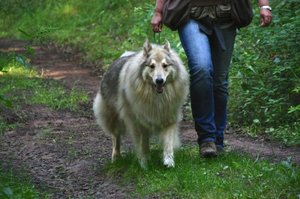 1_Wir sind dran.JPG 1_Wir sind dran.JPG