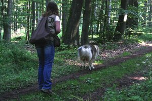 2_Voran.JPG 2_Voran.JPG