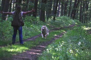 3_Geschafft.JPG 3_Geschafft.JPG