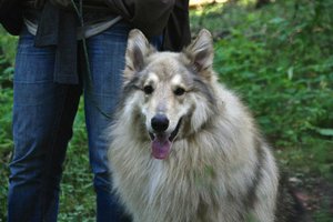 4_Toll gemacht Stolz.JPG 4_Toll gemacht Stolz.JPG