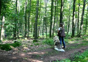 5_Aufpassen beim Apport.JPG 5_Aufpassen beim Apport.JPG