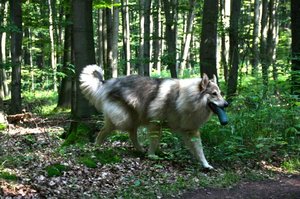 6_Apport Erledigt.JPG 6_Apport Erledigt.JPG