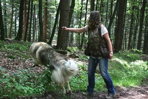 7_Such Verloren.JPG 7_Such Verloren.JPG